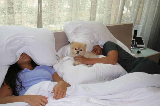 Why I Invented Sleep Crown
